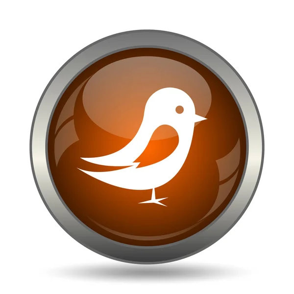 Bird Icon Internet Button White Background — Stock Photo, Image