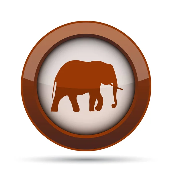 Icona Dell Elefante Pulsante Internet Sfondo Bianco — Foto Stock