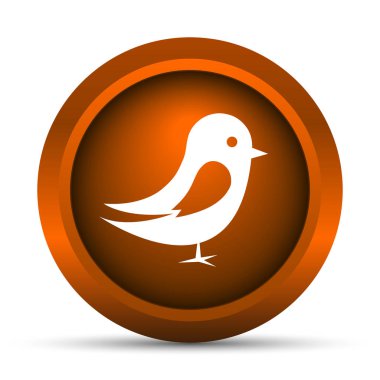 Kuş simgesi. Beyaz arka plan üzerinde Internet düğmesi