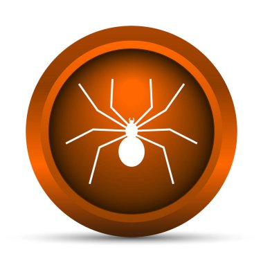 Örümcek simgesi. Beyaz arka plan üzerinde Internet düğmesi
