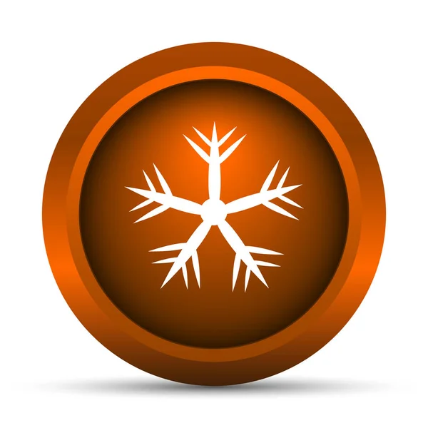 Snowflake Icon Internet Button White Background — Stock Photo, Image