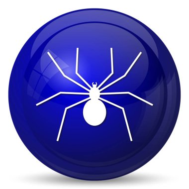örümcek simgesi