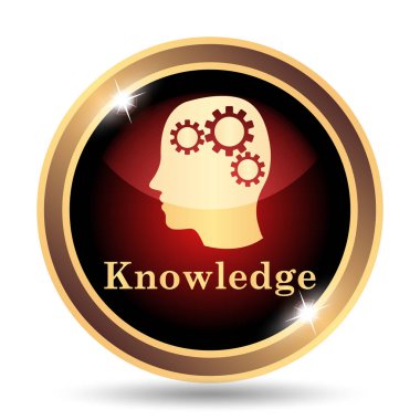 Knowledge icon