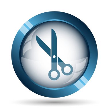 Simge kesti. Beyaz arka plan üzerinde Internet düğmesi