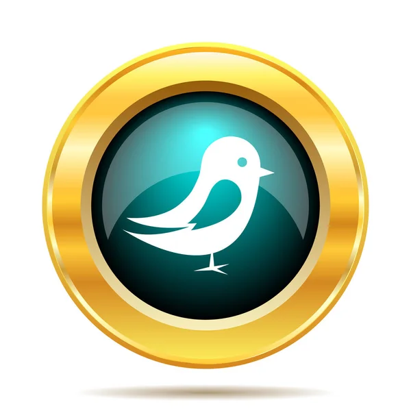 Vogelsymbol Internet Taste Auf Weißem Hintergrund — Stockfoto