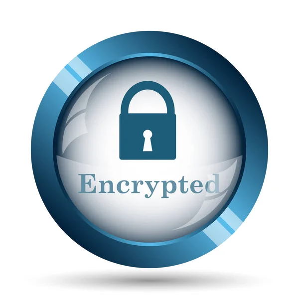 Encrypted Icon Internet Button White Background — Stock Photo, Image