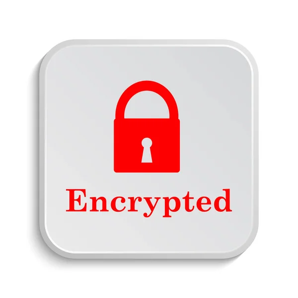 Encrypted Icon Internet Button White Background — Stock Photo, Image