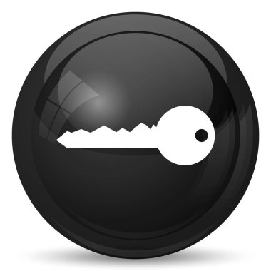 Anahtar simgesi. Beyaz arka plan üzerinde Internet düğmesi