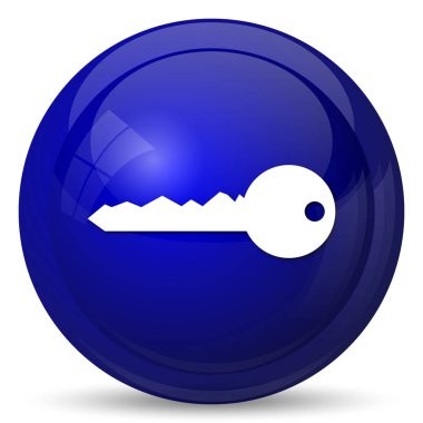 Anahtar simgesi. Beyaz arka plan üzerinde Internet düğmesi