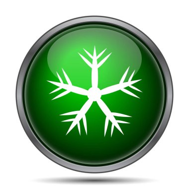 Kar tanesi simgesi. Beyaz arka plan üzerinde Internet düğmesi