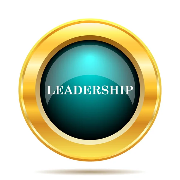 Лідерство значок — стокове фото