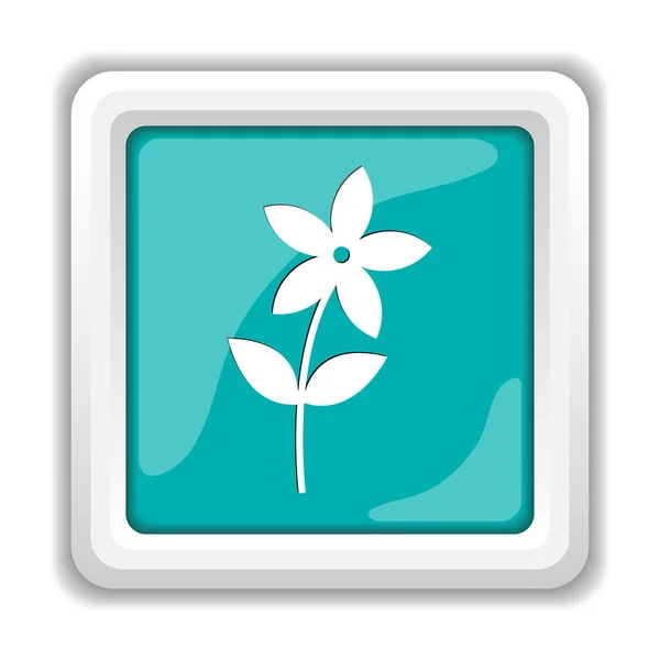 Flower  icon — Stock Photo, Image