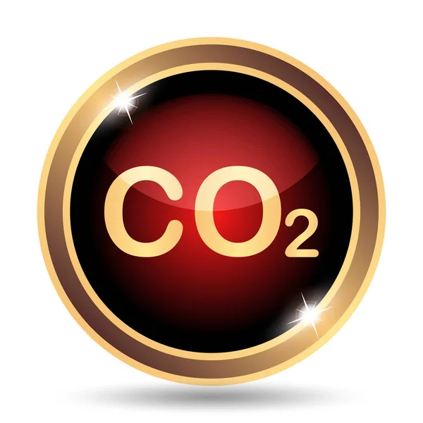 Co2 Pictogram Internet Knop Witte Achtergrond — Stockfoto