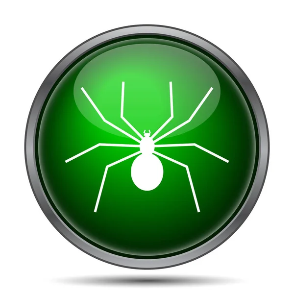Örümcek simgesi — Stok fotoğraf