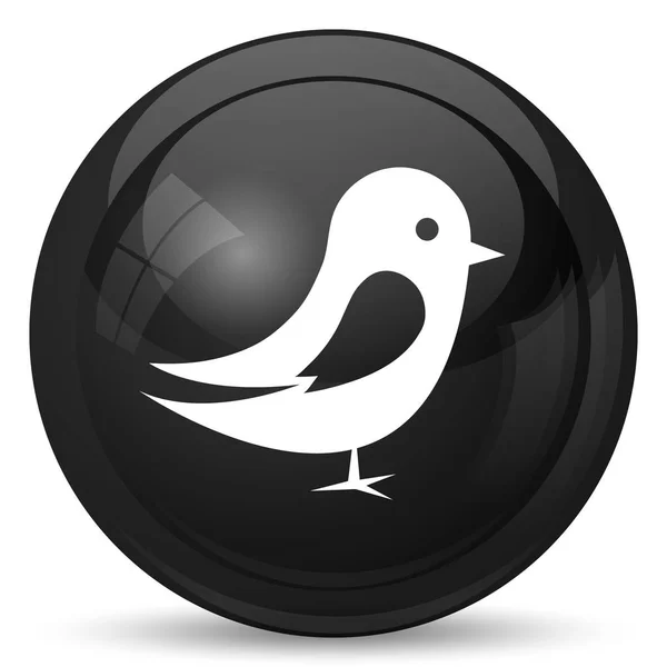 Icona Dell Uccello Pulsante Internet Sfondo Bianco — Foto Stock