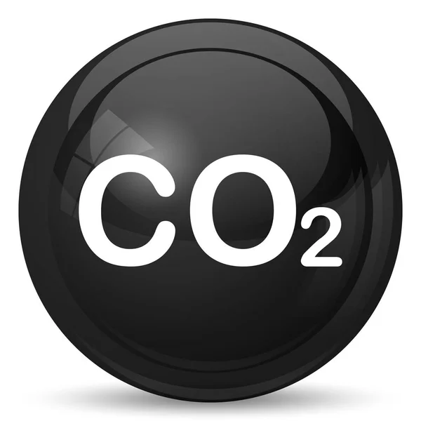 Co2 Ikonen Internet Knappen Vit Bakgrund — Stockfoto