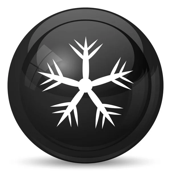 Lumihiutaleikoni Internet Painike Valkoisella Taustalla — kuvapankkivalokuva