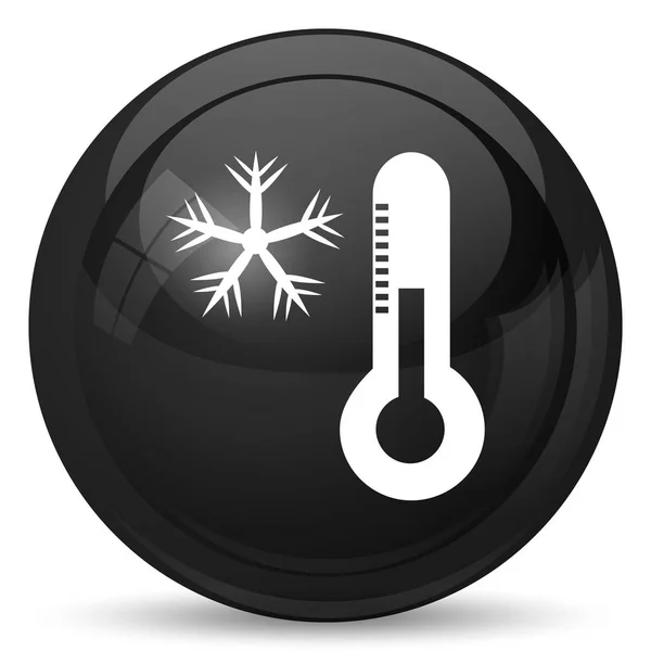 Snowflake Thermometer Icon Internet Button White Background — Stock Photo, Image