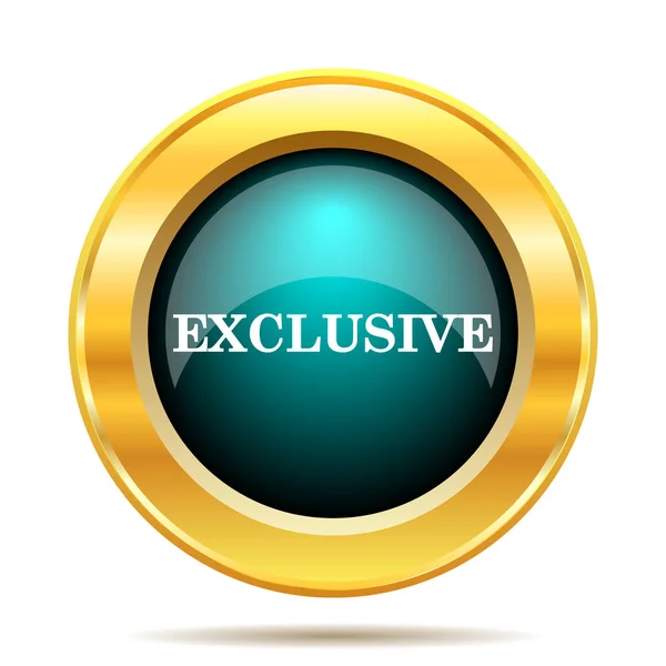 Exclusive Icon Internet Button White Background — Stock Photo, Image