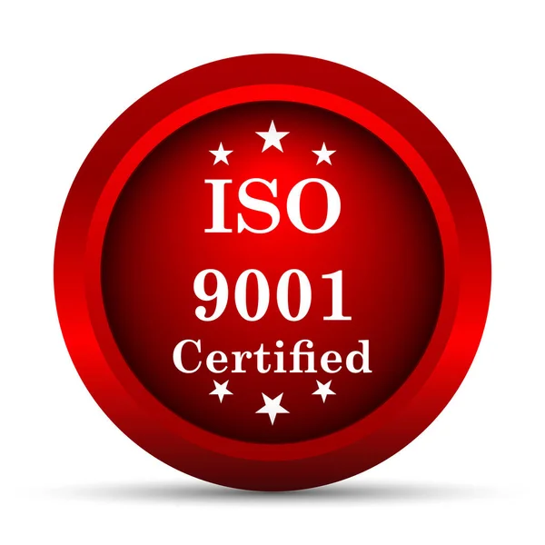 Iso9001 Ikonen Internet Knappen Vit Bakgrund — Stockfoto