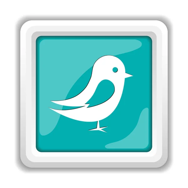 Fågel ikon — Stockfoto
