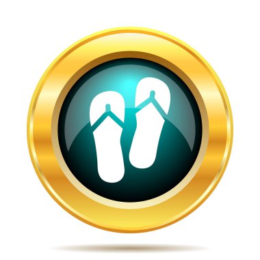 Terlik simgesi. Beyaz arka plan üzerinde Internet düğmesi