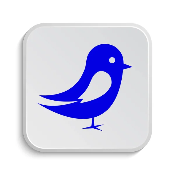 Ikon Burung Tombol Internet Pada Latar Belakang Putih — Stok Foto