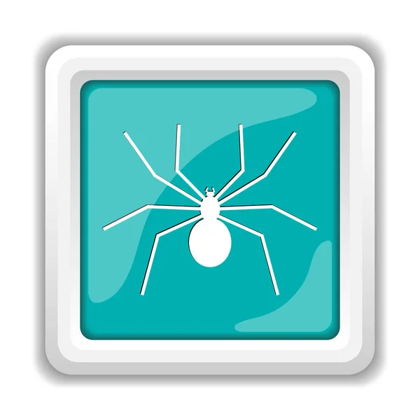 Icono de araña — Foto de Stock