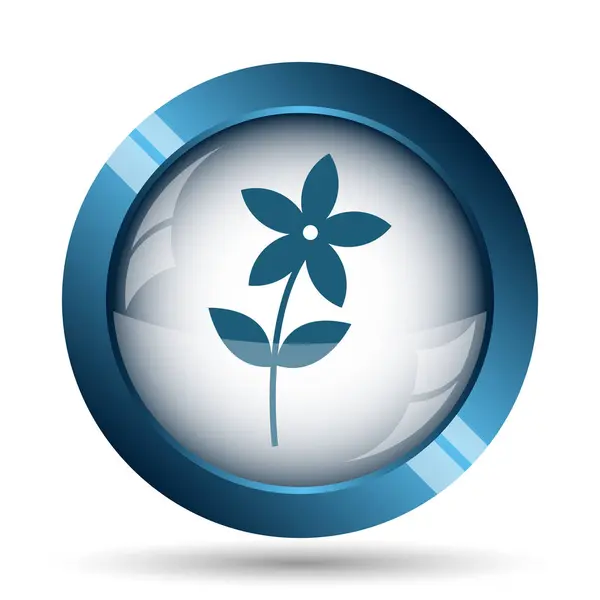 Flower Icon Icon Internet Button White Background — Stock Photo, Image
