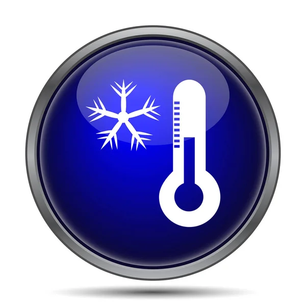 Snowflake Thermometer Icon Internet Button White Background — Stock Photo, Image