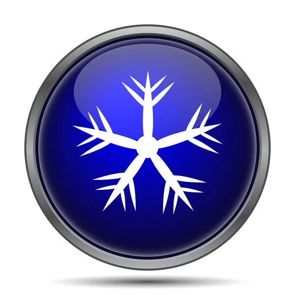 Icono Del Copo Nieve Botón Internet Sobre Fondo Blanco —  Fotos de Stock