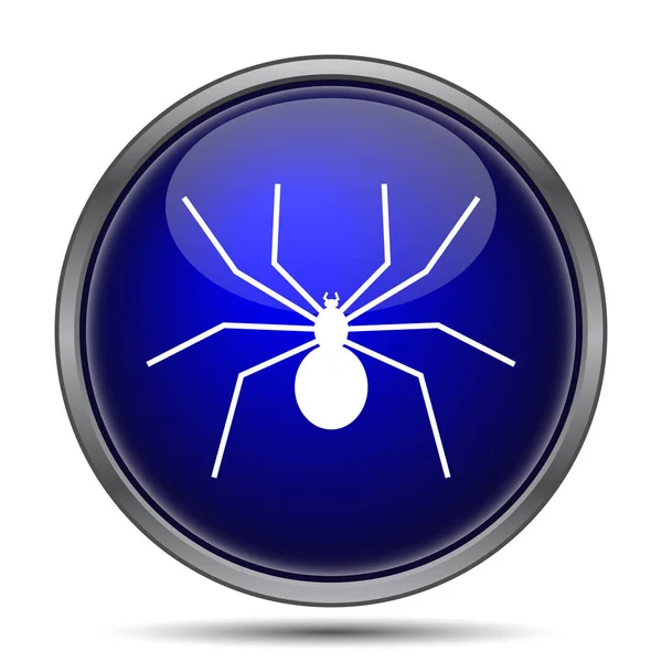 Icône d'araignée — Photo
