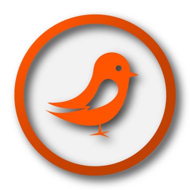 Kuş simgesi. Beyaz arka plan üzerinde Internet düğmesi