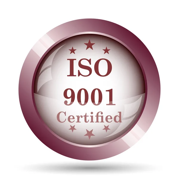 Iso9001 图标 — 图库照片