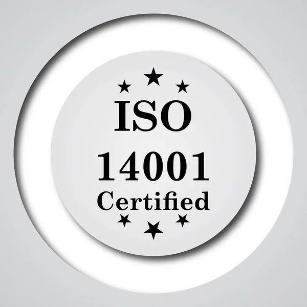 Iso14001 图标 — 图库照片