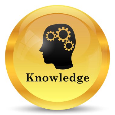 Knowledge icon