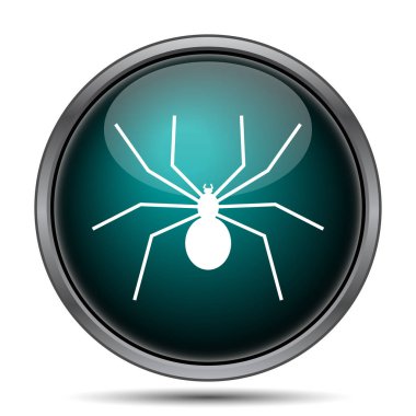 Örümcek simgesi. Beyaz arka plan üzerinde Internet düğmesi