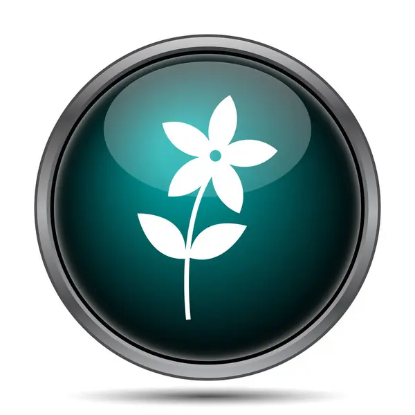 Flower  icon — Stock Photo, Image