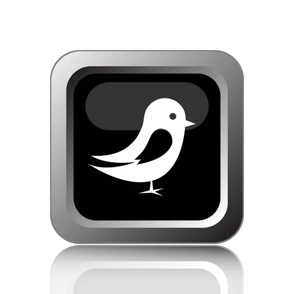 Icône Oiseau Bouton Internet Sur Fond Blanc — Photo