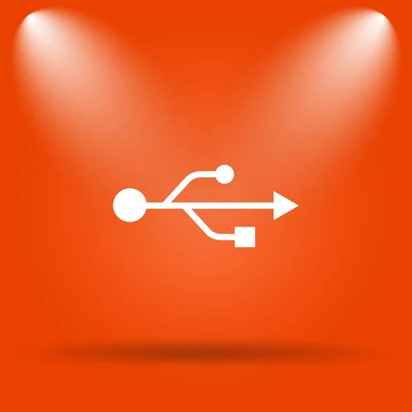 USB icon. Internet button on orange background