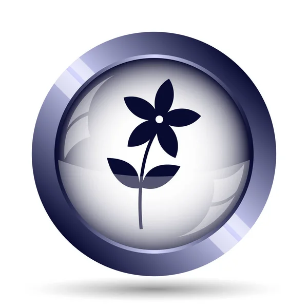 Flower  icon — Stock Photo, Image