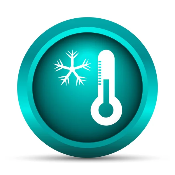 Snowflake Thermometer Icon Internet Button White Background — Stock Photo, Image