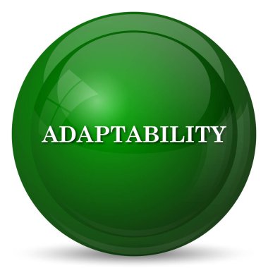 Adaptasyon simgesi. Beyaz arka plan üzerinde Internet düğmesi