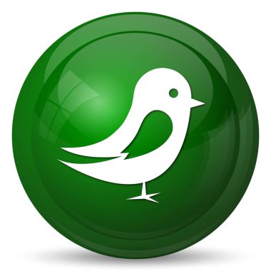 Kuş simgesi. Beyaz arka plan üzerinde Internet düğmesi