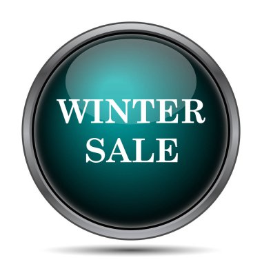 Kış satış simgesi. Beyaz arka plan üzerinde Internet düğmesi