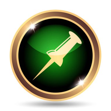 PIN simgesi. Beyaz arka plan üzerinde Internet düğmesi