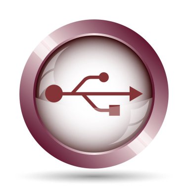 USB simge. Beyaz arka plan üzerinde Internet düğmesi