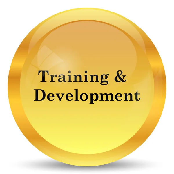 Training and development icon — Stock Photo, Image