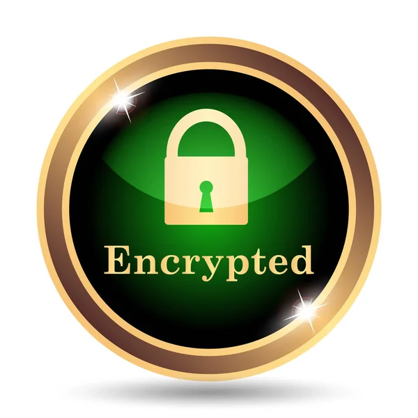 Encrypted Icon Internet Button White Background — Stock Photo, Image