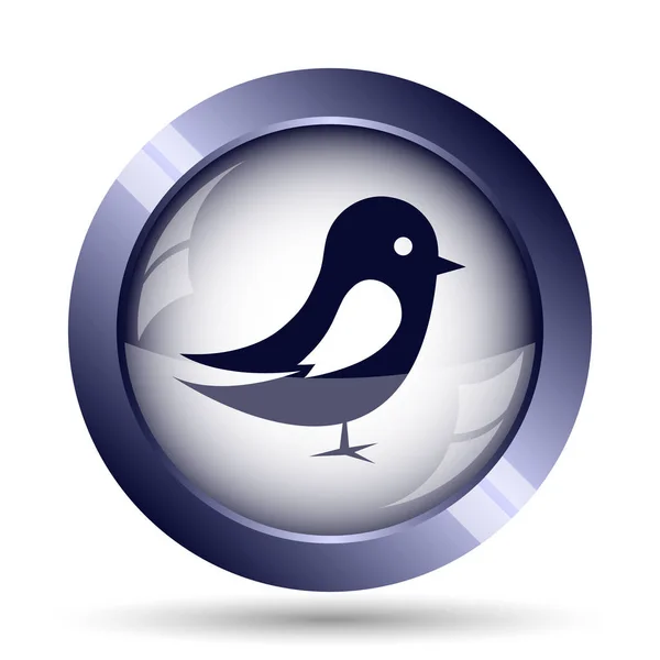 鸟图标 白色背景上的互联网按钮 — 图库照片
